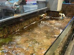 -海鲜e族(马王堆店)