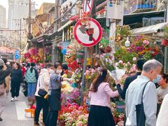 -溪岸路花鸟市场