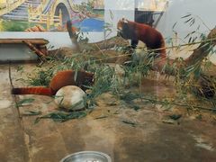 -西安秦岭野生动物园