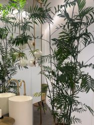 -HYOUNG 禾漾·BTL官方美学中心