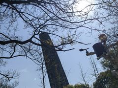 -上海佘山国家森林公园天马山园