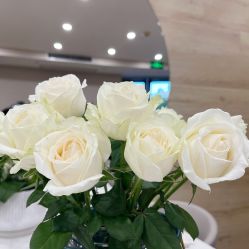 -酉嘉瑜伽YO+YOGA