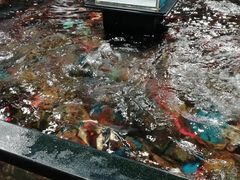 -盒马鲜生(曜一城店)