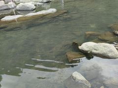-长谷洞天