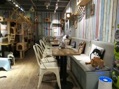 -小时光咖啡馆(开森度假森林店)