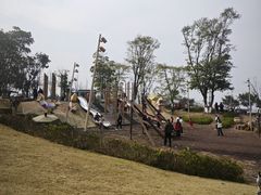 -铁山坪森林公园