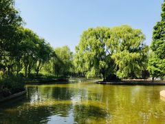 -洛阳市隋唐城遗址植物园