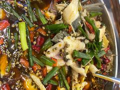 -乡土特色.冷锅鱼.牦牛肉汤锅