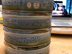 -珍妮曲奇聪明小熊(尖沙咀店)