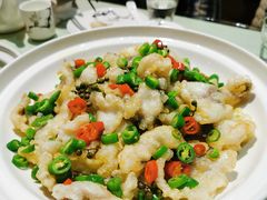 椒香鱼片-朝郡酒家·粤菜(燕大星苑店)