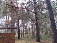 -北极村旅游风景区