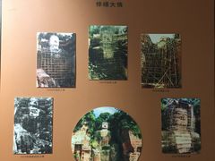 -乐山市博物馆