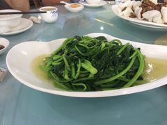 -东江湖游水三文鱼美食城