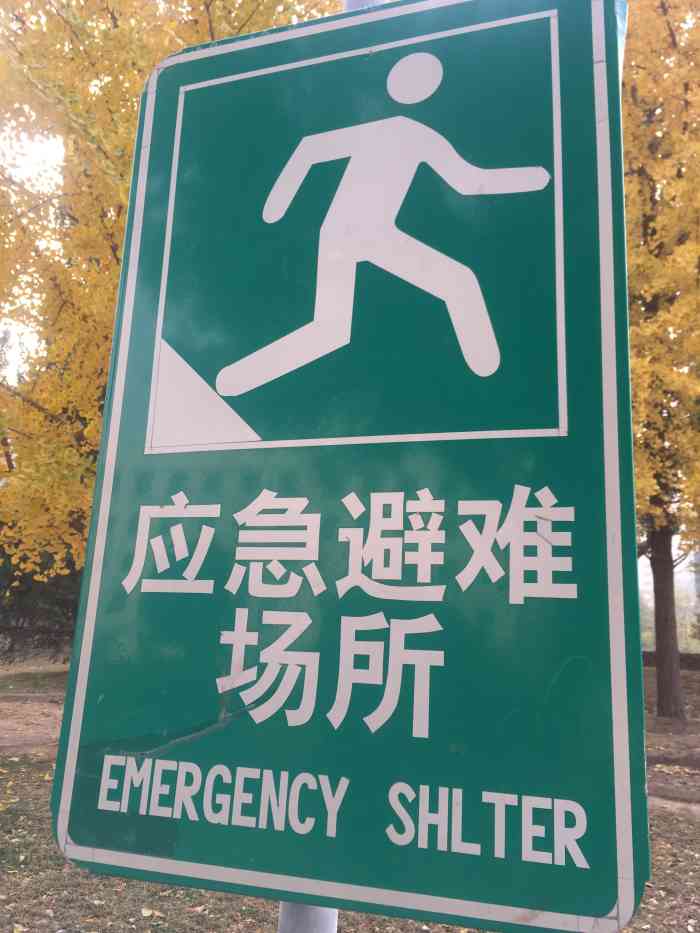 元大都城垣遗址公园-紧急避难所(安贞西里二区北)-"略显冷静的大公园,