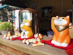 -柴犬高等学院·狗咖·柴犬售卖·宠物训练