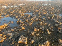 -青岛石老人海水浴场