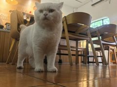 -彳亍咖啡·这里(水湾路店)