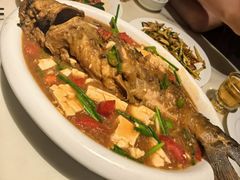 -大雄九老菜馆(南门桥店)