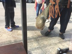 -正能量脆肉鲩火锅