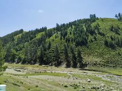 -老街冷水鱼烧烤(河堤夜市店)