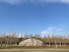 -上海海湾国家森林公园