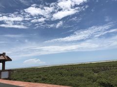 -北海金海湾红树林生态旅游区