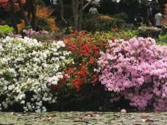 -杭州植物园