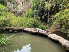 -长鹿旅游休博园