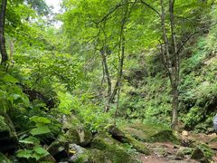 -五女峰国家森林公园