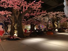 -蓝鲸湾汤泉(包河店)