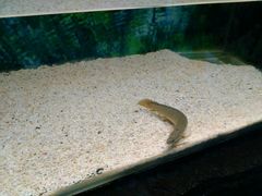android_upload_pic-上海大自然野生昆虫馆