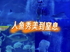-烟台海昌鲸鲨海洋公园