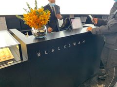 -BLACKSWAN黑天鹅(环球店)
