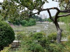 景点-紫荆山公园