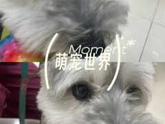 -瑞鹏宠物医院·眼科·皮肤·中兽医(大悦城分院)