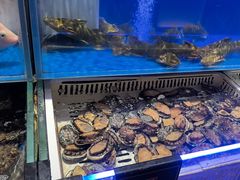 -同庆楼(天鹅酒家店)