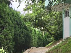 -观象山公园