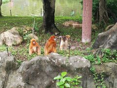 -深圳野生动物园