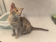 -昆山招商花园城
