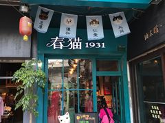 -猫咪博物馆(顶澳仔猫街店)