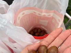 -阿男野栗王(金门路店)