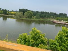 -东郊湿地公园