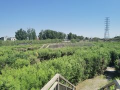 -亲兄弟真人CS团建拓展基地