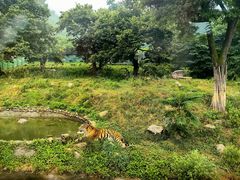 -西安秦岭野生动物园