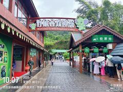 -野象谷景区