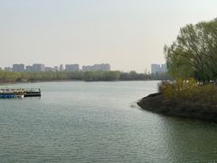 -大兴滨河森林公园