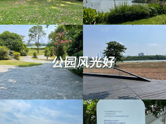 -海珠湖公园