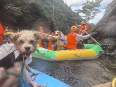 -安吉龙王山峡谷漂流