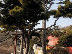 -妙峰山风景名胜区