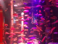 -沈阳海洋探索中心